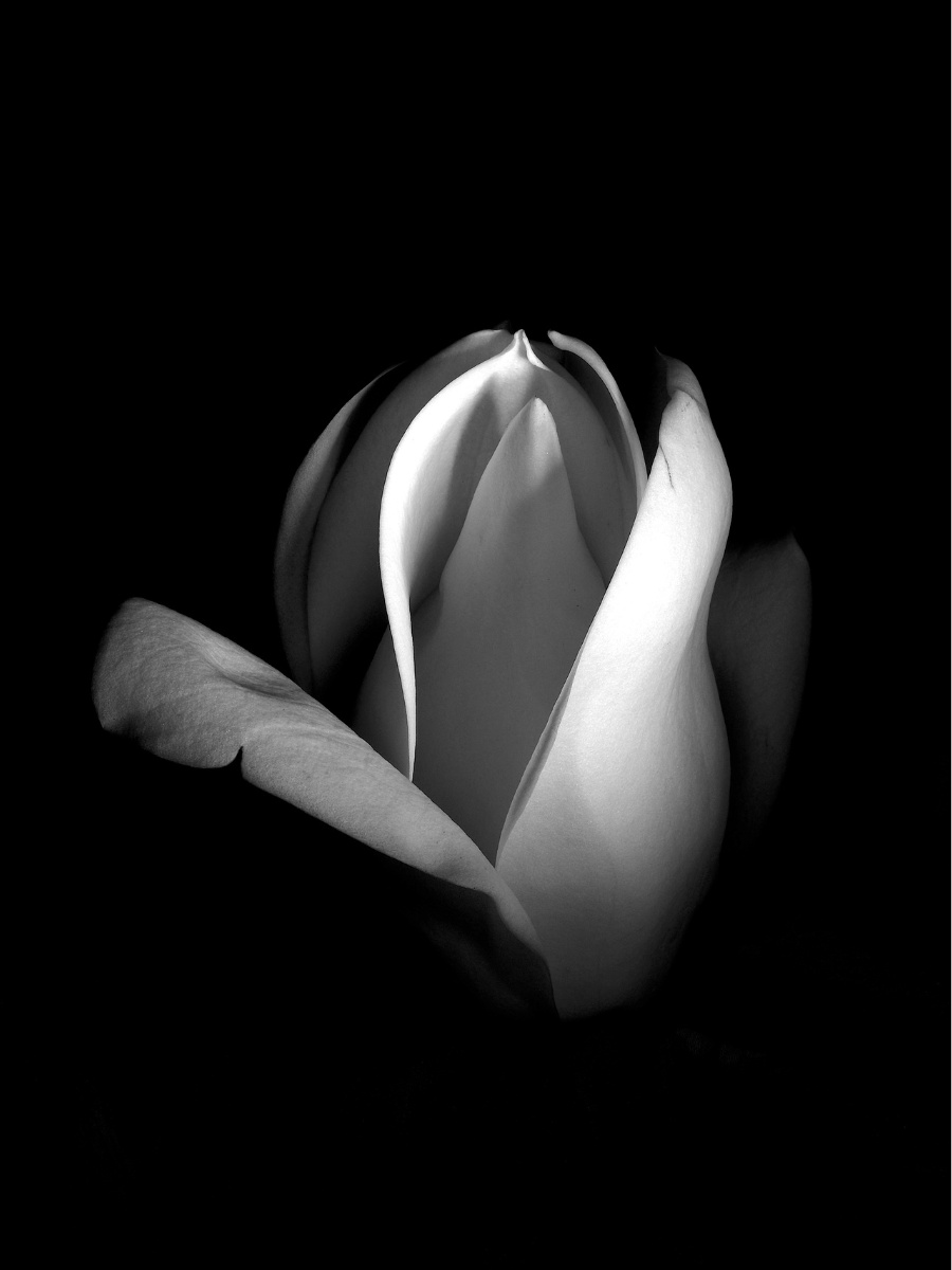 Grey Interval