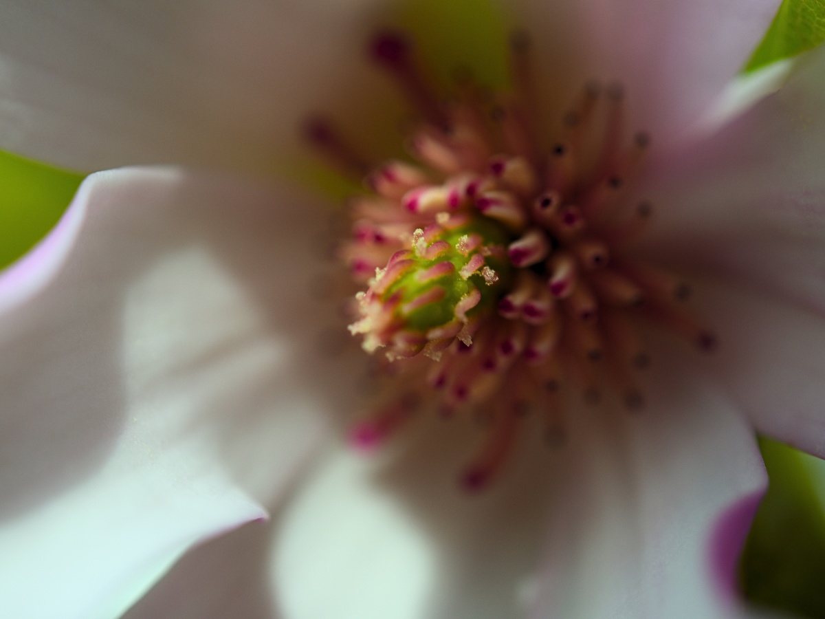 Evidence of Color
